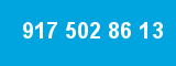 917 502 86 13